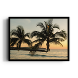 Sunlit Palms