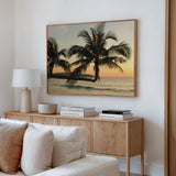 Sunlit Palms